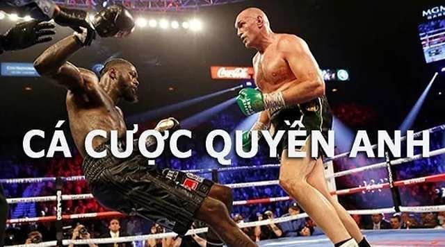 cá cược boxing quyền anh